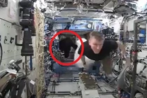 Video: Thót tim với hình ảnh “khỉ đột” đuổi phi hành gia