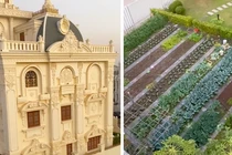 Video: Vườn rau trong khu nhà giàu cũng phải “khác bọt”