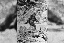 Video: Xôn xao hình ảnh sinh vật bí ấn “nửa người nửa khỉ” 