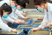 Video: Trung Quốc tham vọng tạo ra giống cây lương thực mới trên vũ trụ