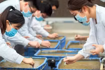 Video: Trung Quốc tham vọng tạo ra giống cây lương thực mới trên vũ trụ