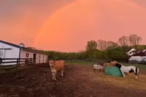 Video: Cầu vồng kép xuất hiện trên bầu trời sau cơn giông bão