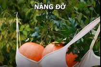 Video: Mê mẩn mẹo và thủ thuật làm vườn cho hội nghiện cây