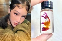 Video: Cô nàng 10X có đam mê độc lạ với “tiêu bản nhuộm xương” động vật