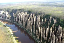 Video: Kỳ lạ khu rừng “mọc “ hàng nghìn trụ đá cao chọc trời