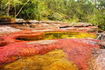Video: Cận cảnh sông ngũ sắc đẹp mê hồn, độc nhất vô nhị trên thế giới