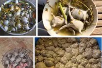 Video: Món đặc sản “kinh dị” được bày bán công khai ngoài đường