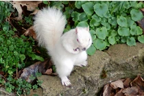 Video: Mê mẩn 15 loài động vật đã tuyệt đẹp còn dễ thương