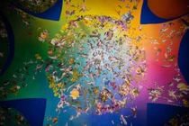 Video: Ấn tượng triển lãm “điên rồ” đầy màu sắc ở Italy