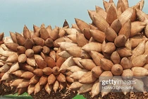 Video: Ảnh “không đụng hàng” về Việt Nam năm 1997