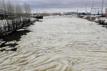 Video: Kinh ngạc hiện tượng “mỡ băng” kỳ lạ ở Nga