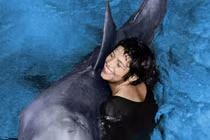 Video: Bất ngờ lý do cá heo biết cứu người