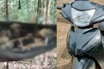 Video: Vụ 2 bộ xương khô trong rừng: Tìm thấy xe máy nghi của nạn nhân