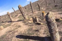 Video: Khám phá nghĩa trang kỳ lạ có hàng trăm bia mộ hình nhạy cảm