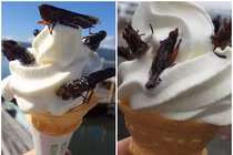 Nhiều món kem kỳ dị ở Nhật Bản gây sốc cho thực khách