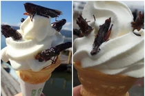 Nhiều món kem kỳ dị ở Nhật Bản gây sốc cho thực khách