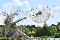 Video: Những tác phẩm điêu khắc khiến bạn không thể rời mắt