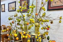 Video: Mê mẩn những mẫu bình quả “đẹp - độc - lạ”