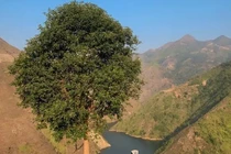 Video: “Sống ảo thả ga" với 8 cây cô đơn nổi tiếng khắp Việt Nam