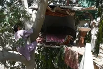 Video: “Cuộc sống như chim” suốt 8 năm giữa thành phố lớn