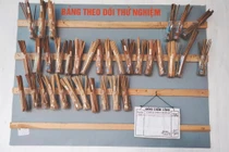 Anh nông dân sáng chế bộ máy làm đũa công suất 200 đôi/giờ