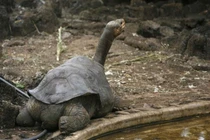 Khám phá thú vị những thứ cô đơn nhất hành tinh