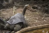 Khám phá thú vị những thứ cô đơn nhất hành tinh