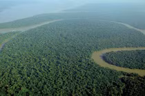 Bí ẩn quanh rừng Amazon, khoa học "giật mình" lý giải