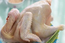 Tuyệt chiêu người bán gia cầm: 1 giây chọn gà an toàn 100%