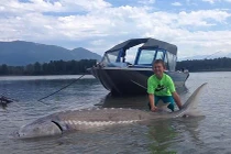 Kinh ngạc bé 9 tuổi câu được cá nặng hơn 270kg