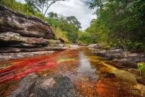 Giải mã những vùng sông, hồ "nổi bần bật" theo cách kỳ quái