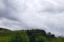 Cảnh cơn mưa nhền nhện ào ạt từ trên trời gây khiếp sợ