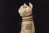 Khoa học chụp CT xác ướp mèo nghìn tuổi, phát hiện chấn động