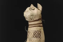 Khoa học chụp CT xác ướp mèo nghìn tuổi, phát hiện chấn động