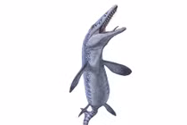 Phát hiện quái vật biển sâu đáng sợ, khoa học vui mừng