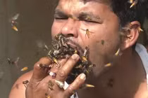 Hãi hùng người đàn ông "nhốt" ong vào miệng khi lấy mật