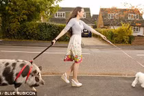 Độc lạ không ngờ: Trào lưu kỳ quái cùng với lợn