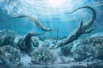 Sững sờ quái vật khổng lồ trên sườn núi Alps