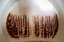 Những thứ tưởng "sai sai" lại tạo ra kết quả bất ngờ