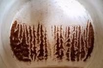 Những thứ tưởng "sai sai" lại tạo ra kết quả bất ngờ