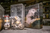 "Run bắn" khám phá những nơi bị bỏ hoang đáng sợ nhất Trái đất