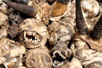 Những vùng đất độc lạ, huyền bí, khách du lịch phải dựng tóc gáy