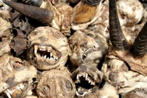 Những vùng đất độc lạ, huyền bí, khách du lịch phải dựng tóc gáy