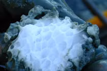 Rùng mình hiện tượng thiên nhiên giết bạn “chớp mắt“