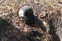 Bí ẩn quái đản bộ xương người xích cây và sự thực "té ngửa"