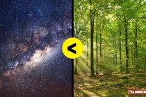 Sự thật "sốc" các con số đến người ghét Toán thấy thú vị