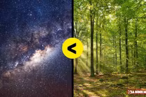 Sự thật "sốc" các con số đến người ghét Toán thấy thú vị