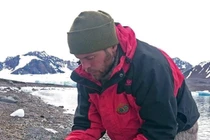 Sửng sốt cáo Bắc Cực đi bộ hơn 3 nghìn km xuyên châu lục