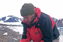 Sửng sốt cáo Bắc Cực đi bộ hơn 3 nghìn km xuyên châu lục