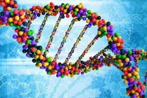 Choáng với khám phá về bộ gen người Việt từ trước tới nay